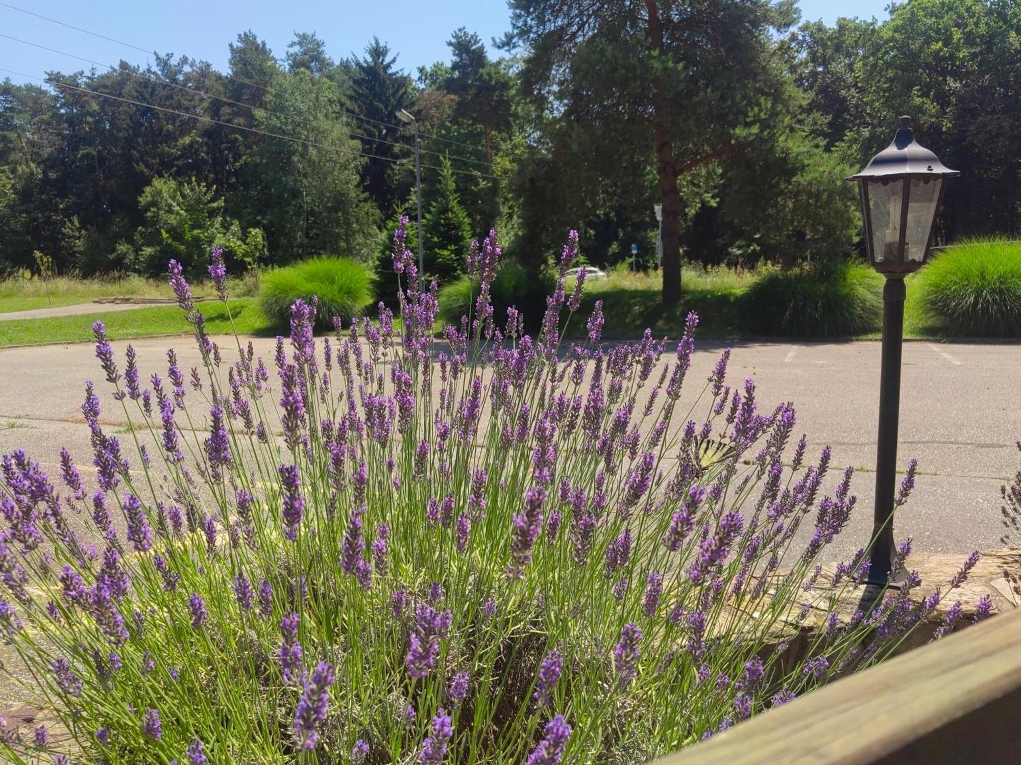 Miklavž na Dravskem PoljuWow Sleeping住宿加早餐旅馆 外观 照片